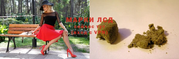сатива Балахна