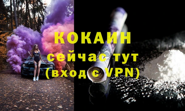 сатива Балахна