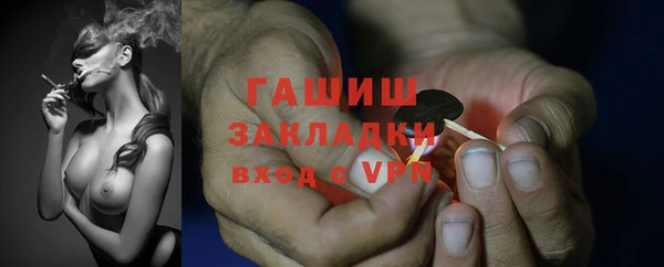 сатива Балахна