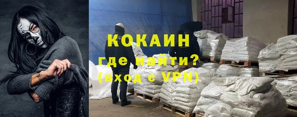 сатива Балахна